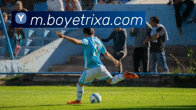 博业体育APP 封面图